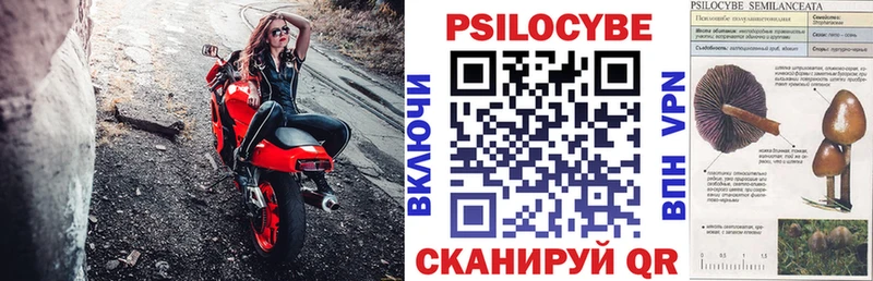 Псилоцибиновые грибы ЛСД Чита