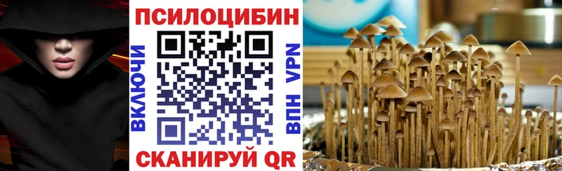 Псилоцибиновые грибы Magic Shrooms  дарнет шоп  Чита 